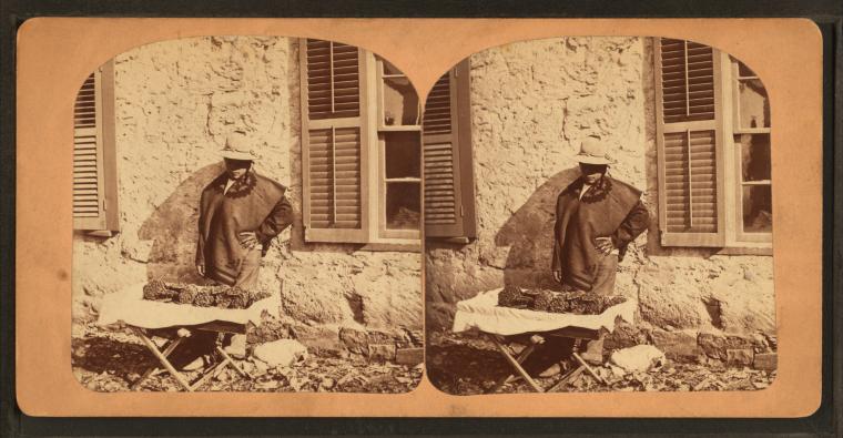 nypl.digitalcollections.510d47e1-b23a-a3d9-e040-e00a18064a99.001.w