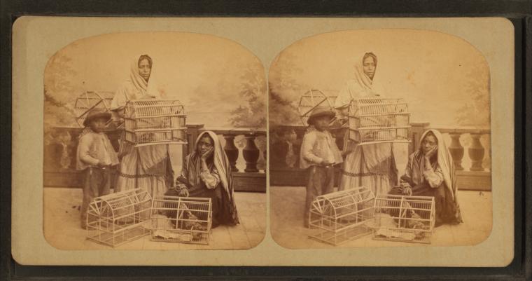 nypl.digitalcollections.510d47e1-b260-a3d9-e040-e00a18064a99.001.w