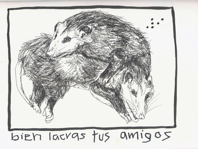 Al Pie de la LetrKAYLEIGH MARTIN