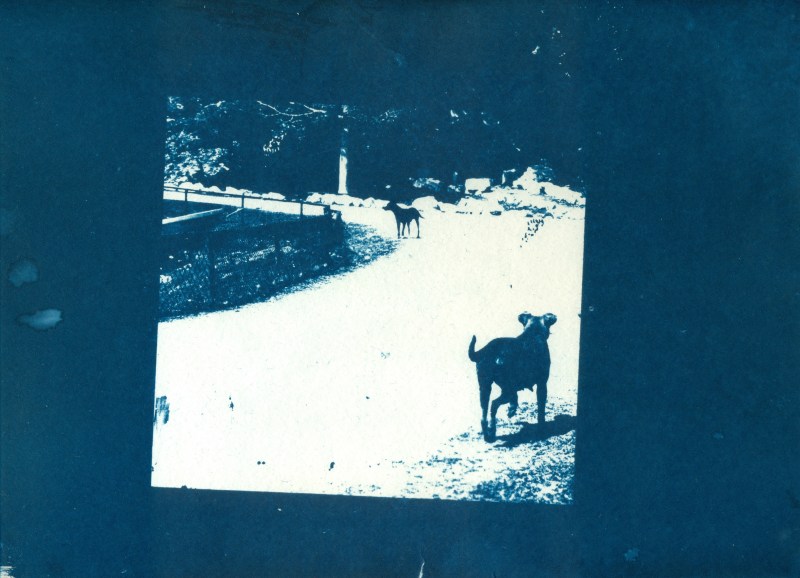 Al Pie de la LetrKALEIGH MARTIN